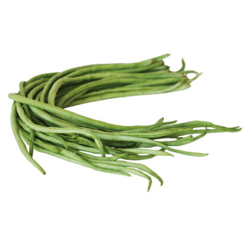 Yardlong Bean